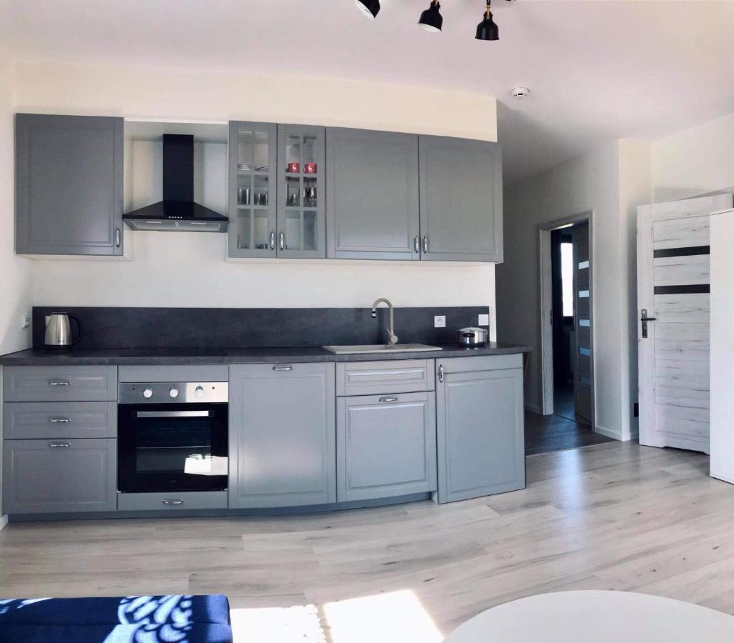 Apartament Przy Potoku Zubrzyca Gorna المظهر الخارجي الصورة